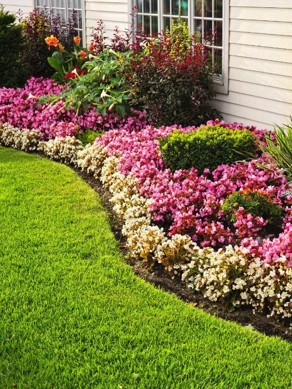 Landscaping Maintenance in Irving TX