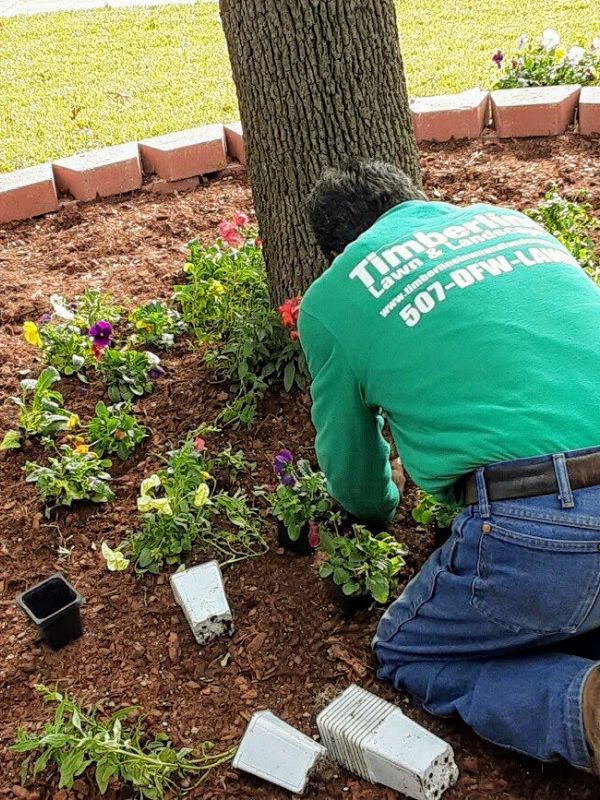 Professional Landscaping Maintenance