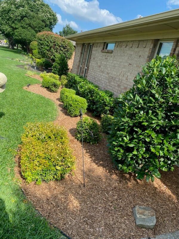 Professional Landscaping Maintenance