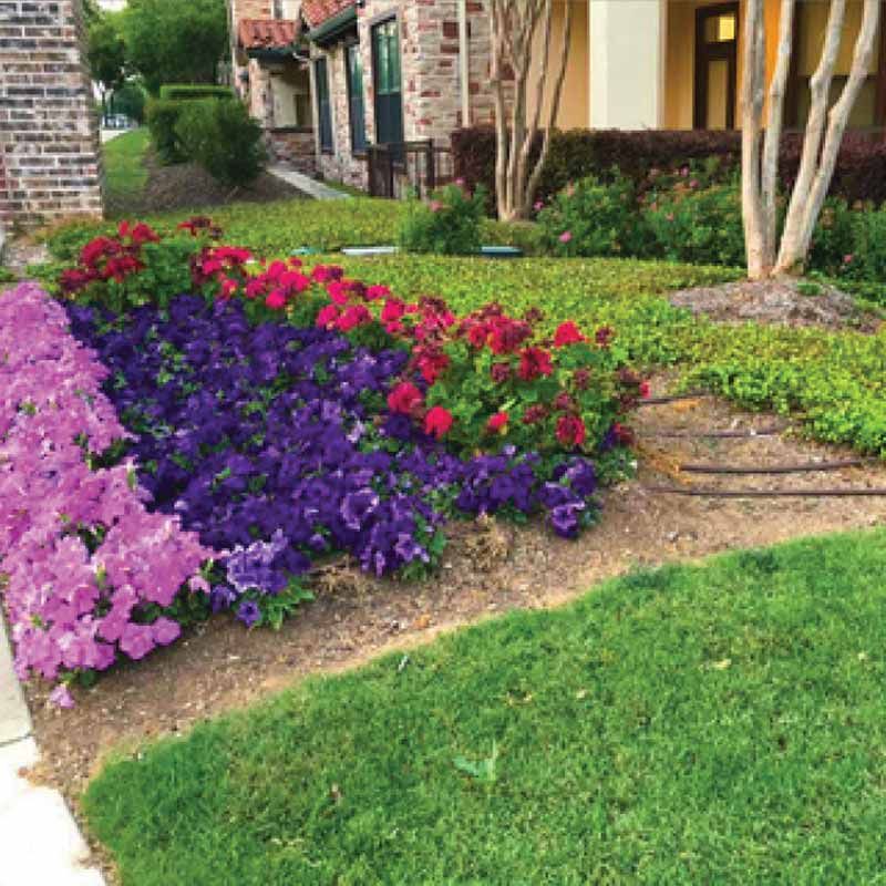 Commercial Lawn and Landscape Services