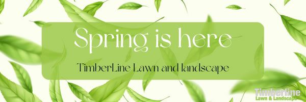 Timberline lawn and landscape maintenance Timberline lawn and landscape maintenance