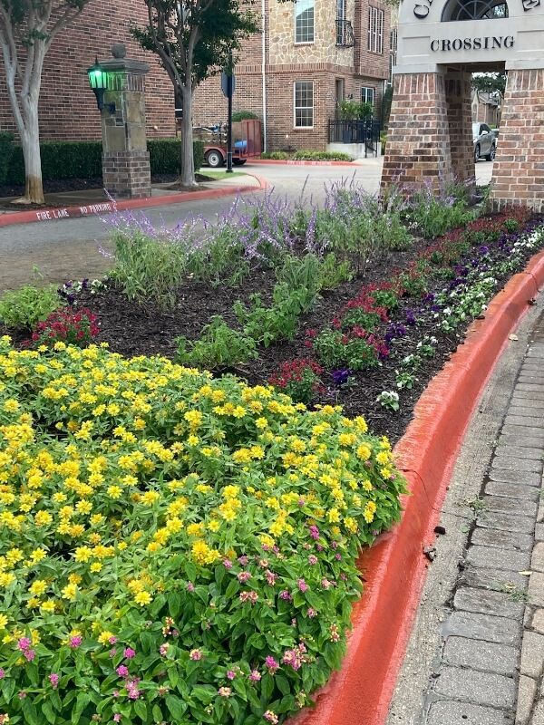 Professional Landscaping Services