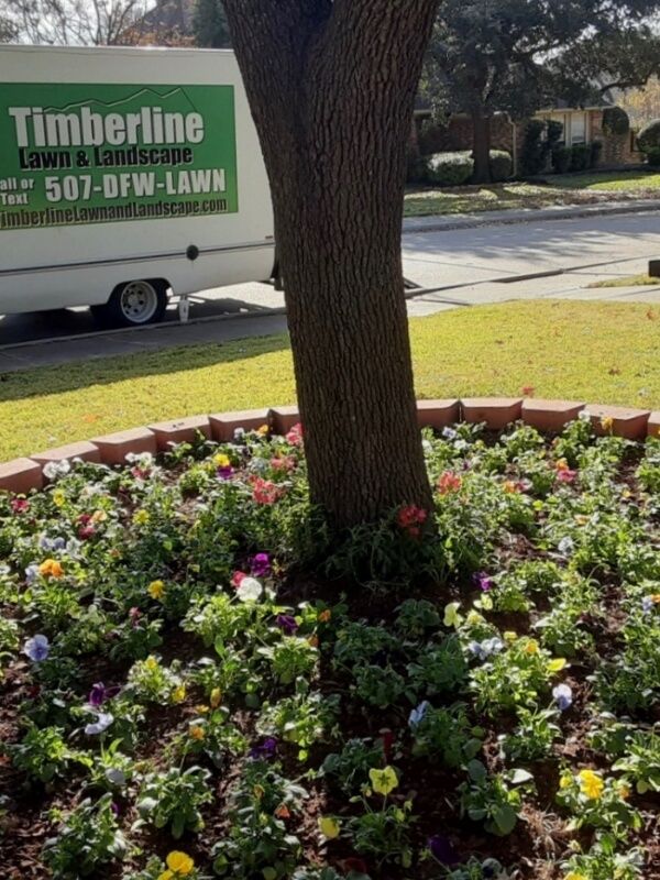 Landscaping in Dallas TX