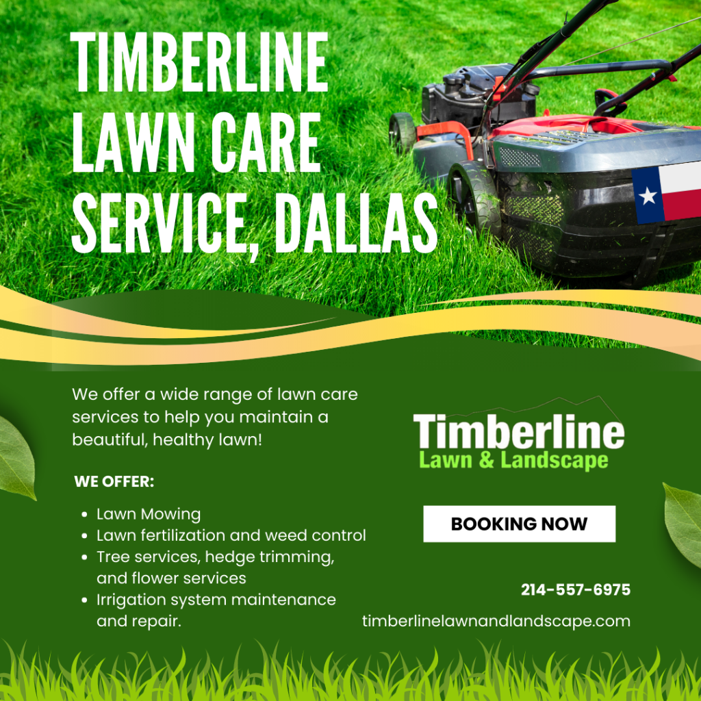 Lawn Care Services lawn service dallas