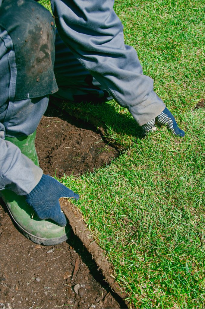 Landscape Maintenance, Get Your Landscape Spring-Ready with Timberline Lawn and Landscape's Ultimate Maintenance Checklist Mulching