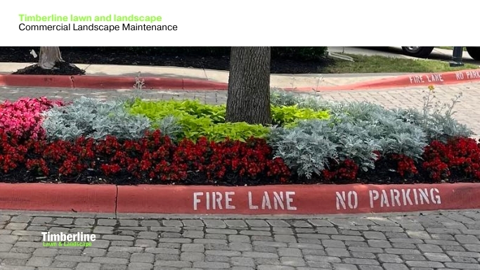 Commercial Landscaping Maintenance